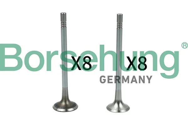 Ventil Borsehung B18628 Ventil Borsehung B18628