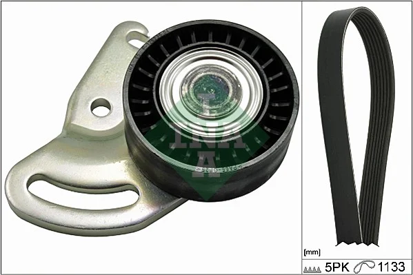 Sada zebrovanych klinovych remenu Schaeffler INA 529017810