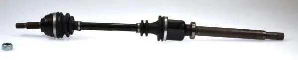 SD 24398 Poloosa SPIDAN