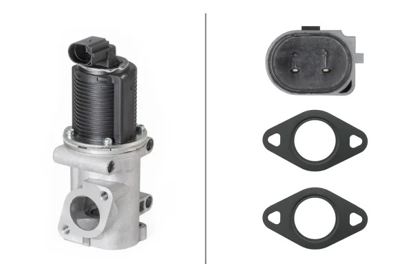 AGR-Ventil HELLA 6NU010171-541