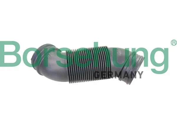 Sací hadice, vzduchový filtr Borsehung B12323 Sací hadice, vzduchový filtr Borsehung B12323